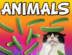 Mens Boxer Briefs Animal Boxer Briefs