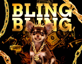 Mens Boxer Briefs Bling Bling Boxer Briefs